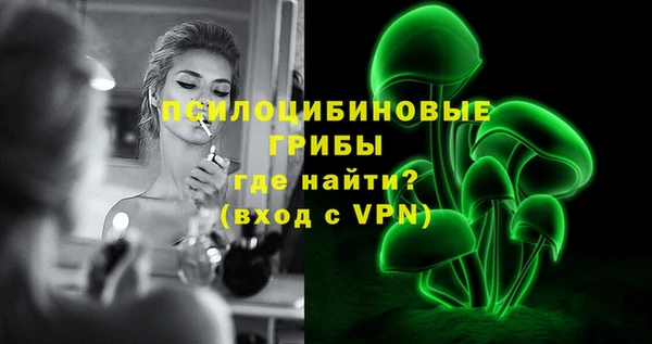 стаф Новозыбков
