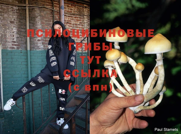 стафф Армянск