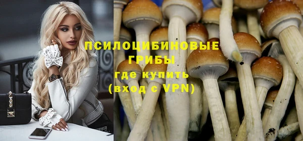 амф Абдулино