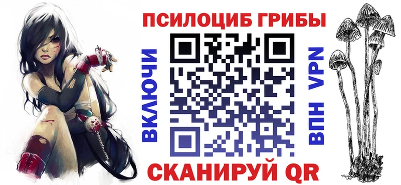 цена   Северодвинск  Псилоцибиновые грибы мицелий 