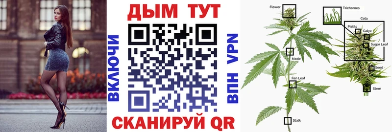 где можно купить   нарко площадка формула  Бошки марихуана тримм  Северодвинск 